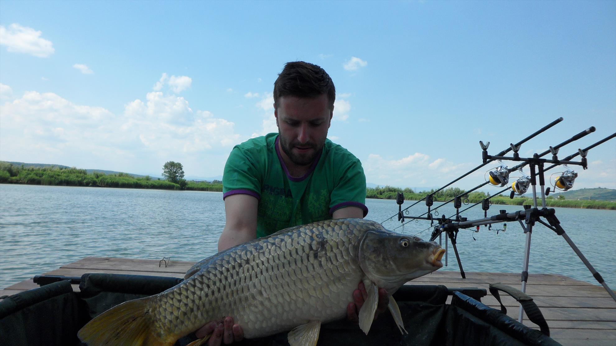 Pleasa1 23 iunie 2014 - sam3219.JPG